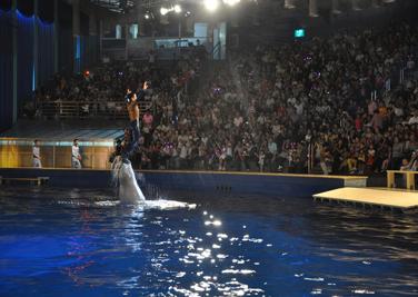 长风海洋世界,上海长风海洋世界,上海海洋水族馆